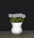 Profile Picture for Daffodil