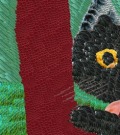 Profile Picture for Hawkeseye
