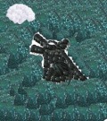 Profile Picture for Dillynn