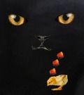 Profile Picture for JAXROSE1