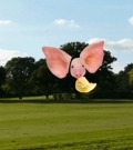 Profile Picture for Lily5004