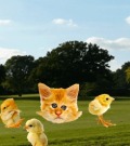 Profile Picture for hailey07