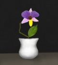 Profile Picture for Fresnogirl