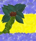 Profile Picture for eclipsiKYE5962