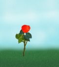 Profile Picture for Franki