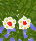 Profile Picture for Otaru