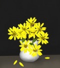 Profile Picture for happybjr