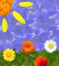 Profile Picture for xxLittleMissPuppyxx