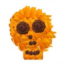 Profile Picture for skullandzebralover