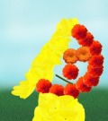 Profile Picture for artisfun