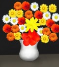 Profile Picture for archana_jsg