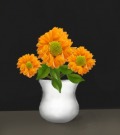 Profile Picture for tricia67