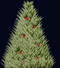 Profile Picture for HartBreanna