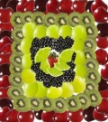 Profile Picture for timo11