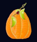 Profile Picture for Pumpkingirl